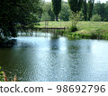 summer landscape of the river bank with green trees, background, wallpaper 98692796