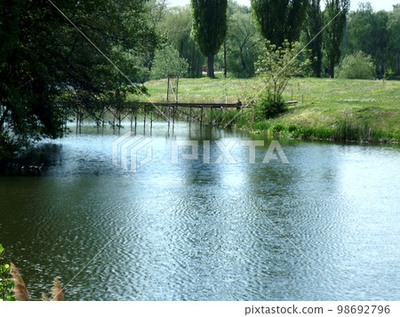 summer landscape of the river bank with green trees, background, wallpaper 98692796