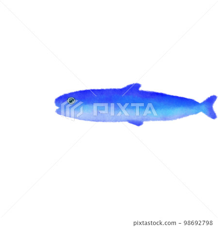 帶有水彩筆觸的海洋生物沙丁魚 帶有水彩筆觸的海洋生物沙丁魚 98692798