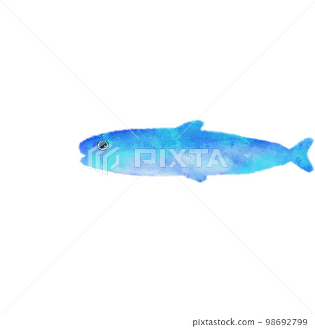 帶有水彩筆觸的海洋生物沙丁魚 98692799