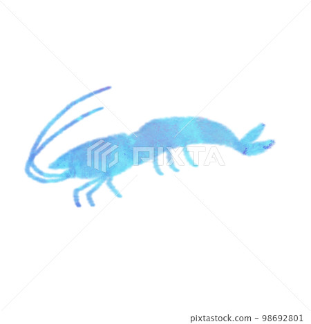 帶有水彩筆觸的海洋生物 蝦 98692801