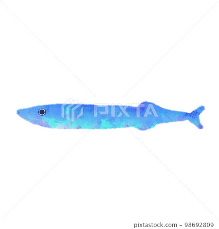 Pacific saury, sea creatures with a touch of watercolor 98692809