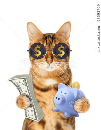 The cat on a white background holds a piggy bank and banknotes. 98693709