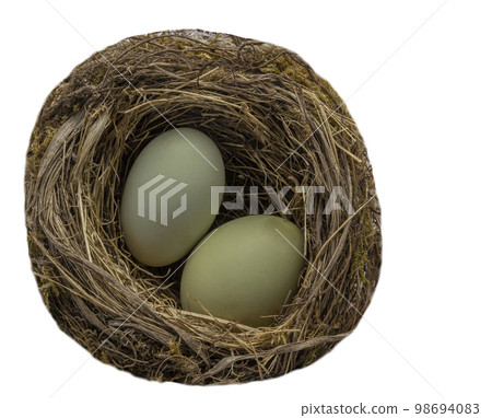 light blue green natural color chicken eggs in a straw nest isolated on white background. Easter holiday background, copy space, greeting card, postcard, banner, cover, mockup, for design light blue green natural color chicken eggs in a straw nest isolated on white background. Easter holiday background, copy space, greeting card, postcard, banner, cover, mockup, for design 98694083