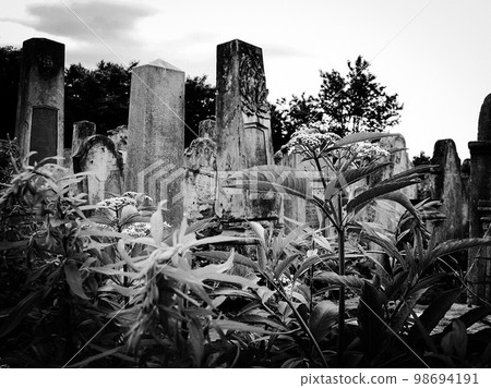 Old abandoned Jewish cemetery with stone graves between trees Old abandoned Jewish cemetery with stone graves between trees 98694191