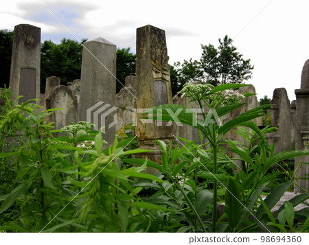 Old abandoned Jewish cemetery with stone graves between trees 98694360