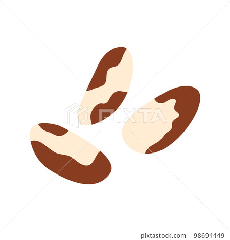 Brazil nuts icon isolated on white background 98694449