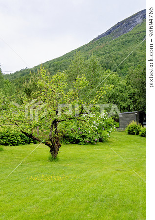 Beautiful norwegian landscape - Andalsnes - Norway 98694766