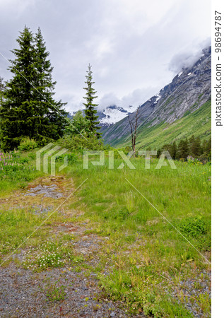 Landscape with green vegetation - Andalsnes - Norway 98694787