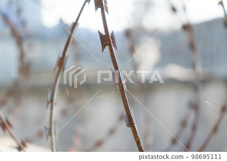 Barbered wire over a blue sky and on building ground, rusty 98695111
