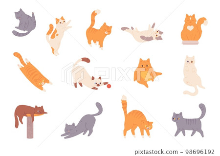 Cat behavior. Feline poses, cartoon cats characters funny emotions, afraid orange kitten scared animal pet cautiously pose and body language, happy playful pets vector illustration Cat behavior. Feline poses, cartoon cats characters funny emotions, afraid orange kitten scared animal pet cautiously pose and body language, happy playful pets vector illustration 98696192