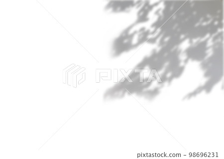 Black and White abstract background textuer of shadows leaf on a white wall. Copy space 98696231