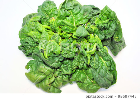 Chick Spinach 98697445