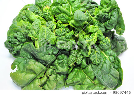 Chick Spinach 98697446