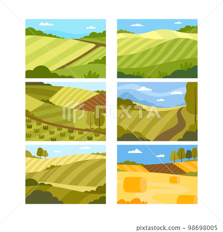 Country View with Sown Field and Pasture Land as Green Landscape Vector Set Country View with Sown Field and Pasture Land as Green Landscape Vector Set 98698005