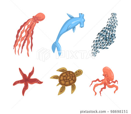 Fish and Marine Mammals as Sea and Underwater World Vector Set Fish and Marine Mammals as Sea and Underwater World Vector Set 98698151