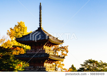 Autumn leaves and three-storied pagoda at Hoshakuji Temple in Kyoto Prefecture Autumn leaves and three-storied pagoda at Hoshakuji Temple in Kyoto Prefecture 98698489