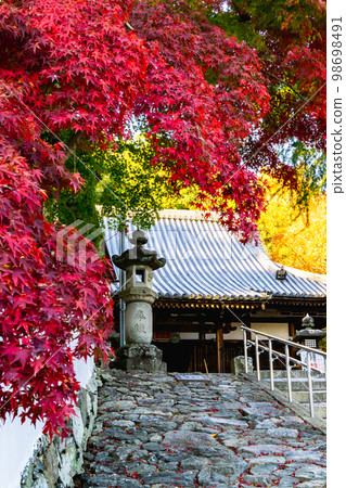 Autumn leaves and main hall of Hoshakuji Temple in Kyoto Prefecture 98698491