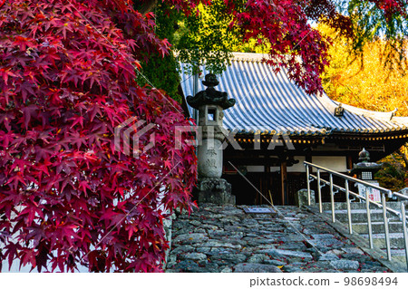 Autumn leaves and main hall of Hoshakuji Temple in Kyoto Prefecture Autumn leaves and main hall of Hoshakuji Temple in Kyoto Prefecture 98698494