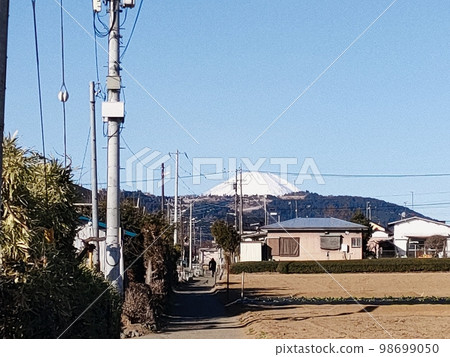 每天 每天 98699050