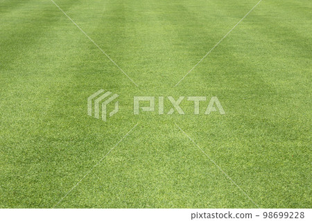 Green grass background green lawn pattern textured background. Green grass background green lawn pattern textured background. 98699228