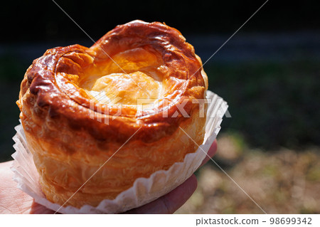 Pumpkin pie from a long-established bakery (Aomori City, Aomori Prefecture) Pumpkin pie from a long-established bakery (Aomori City, Aomori Prefecture) 98699342