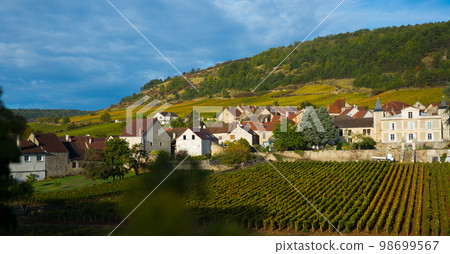 Saint-Aubin in Burgundy on sunny day 98699567