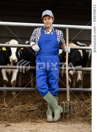 Portrait of tired middle-aged male farmer in overalls with rake in middle of cowshed in autumn Portrait of tired middle-aged male farmer in overalls with rake in middle of cowshed in autumn 98699651