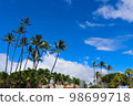 Hawaii's blue sky 98699718