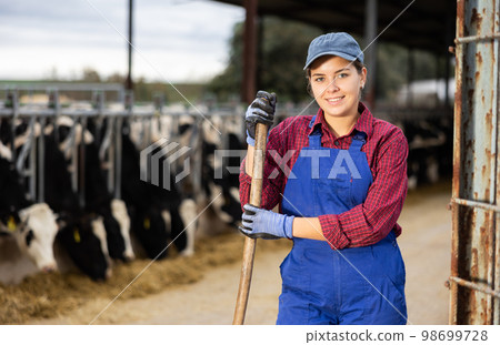 Young female farmer posing while feeding cows at farm 98699728