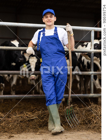 Hardworking young guy farmer in overalls with rake while working on dairy livestock farm Hardworking young guy farmer in overalls with rake while working on dairy livestock farm 98699754