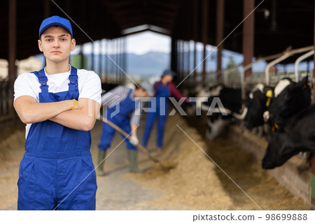Young boy farmer posing while feeding cows at farm 98699888