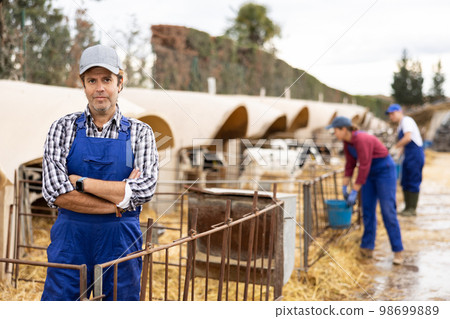 Adult male farmer giving water to calves on farm Adult male farmer giving water to calves on farm 98699889