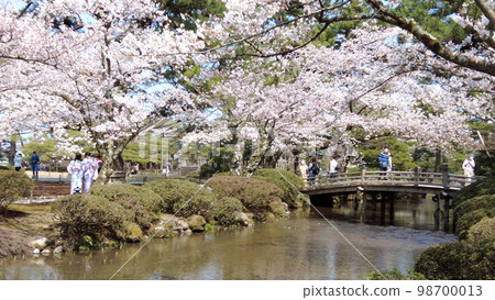 金澤兼六園的櫻花和溪流 98700013