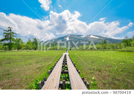 Scenery of Oze in early summer Scenery of Oze in early summer 98700419