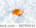 Mandarin oranges buried in fresh snow 98700432