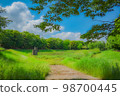 A park with lush greenery in midsummer 98700445