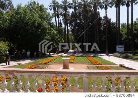 Zappeion Garden in the city center of Athens, Greece 98700894