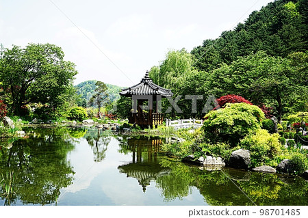 晨靜庭園的風景 晨靜庭園的風景 98701485