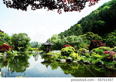 晨靜庭園的風景 晨靜庭園的風景 98701487