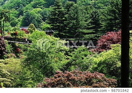 Landscape of the Garden of Morning Calm Landscape of the Garden of Morning Calm 98701842