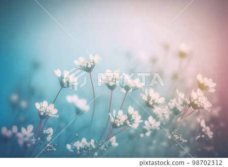 Small white flower with gentle blue and pink colors for spring background 98702312