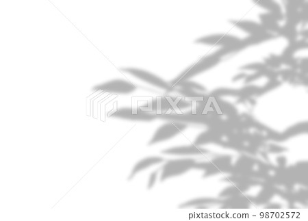 Background illustration _ sunlight filtering through the trees Background illustration _ sunlight filtering through the trees 98702572