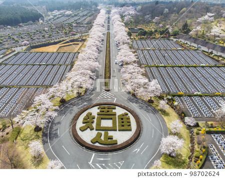 靜岡縣駿都郡小山町富士墓園的櫻花四月 98702624