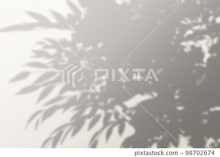 Background illustration _ sunlight filtering through the trees Background illustration _ sunlight filtering through the trees 98702674