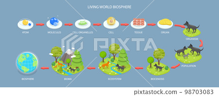 3D Isometric Flat Vector Conceptual Illustration of Living World Biosphere 98703083