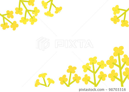 油菜花背景框架 油菜花背景框架 98703316