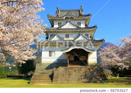 Uwajima城堡在春天 98703827