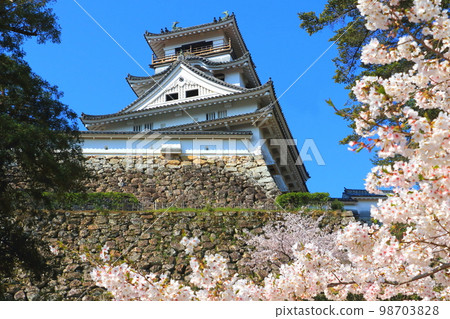 Kochi Castle in Spring 98703828