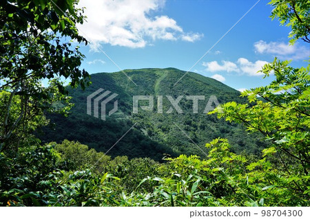 The summit of Mt. Yoichi seen from within the forest zone 98704300